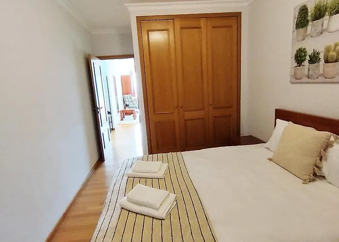 Mcstylo-vista Oceano 卡尼索